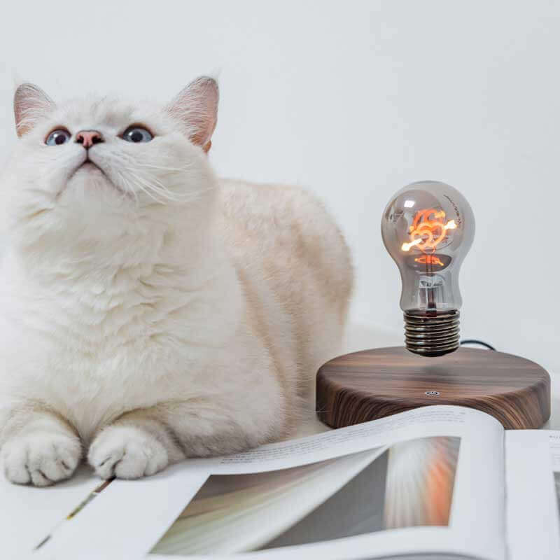 Magnetisch schwebendes Nachtlicht in Herzform