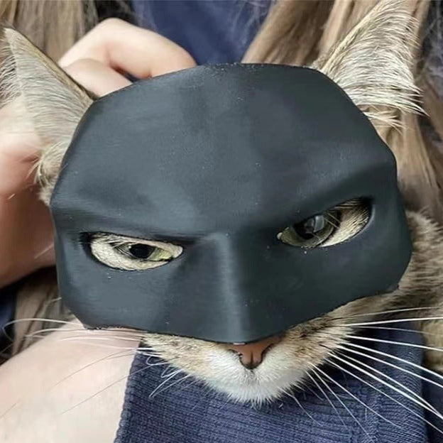 Spider Web Cat Mask