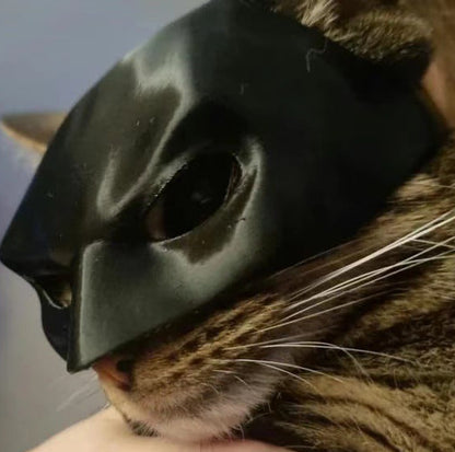 Spider Web Cat Mask