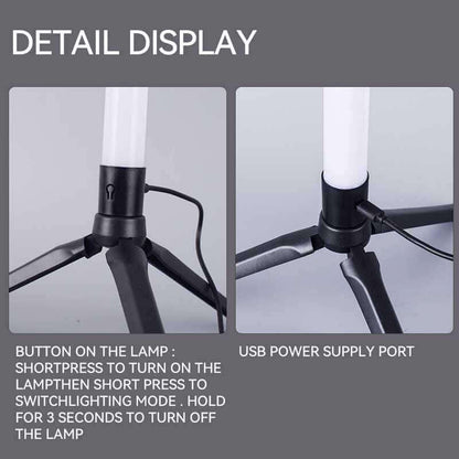 2Pack  5W RGB Remote Control Floor Lamp