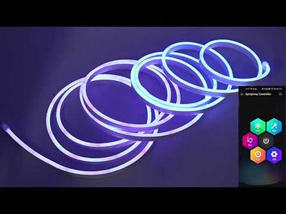 32,8 Fuß RGB Neon Streifen Licht Sync Musik