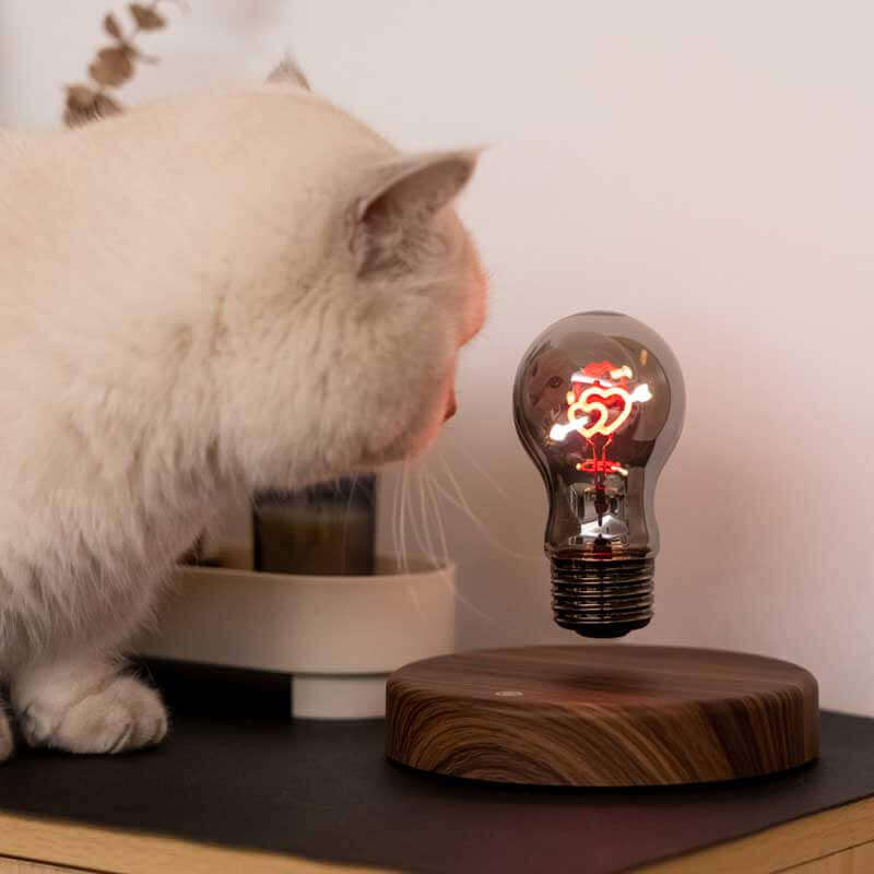 Magnetic Levitating Heart Bulb Night Light